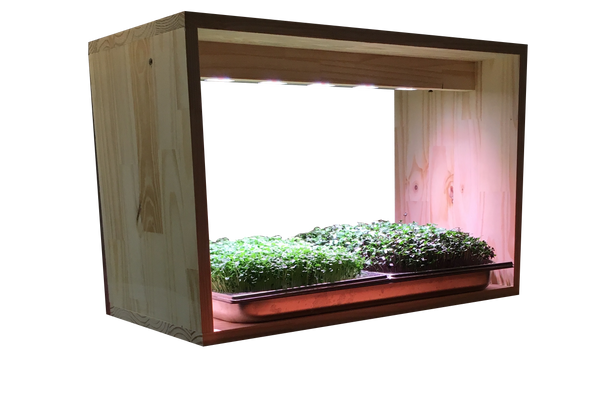 Potager d'intérieur modulaire