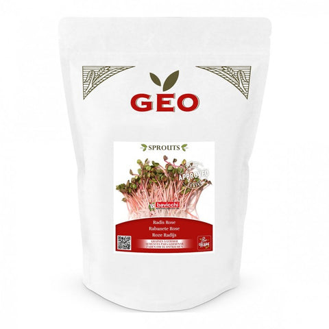 Radis Rose - Graines à germer bio - 500g - Geo
