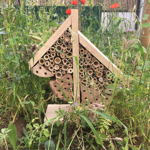 Ruche double pour abeilles solitaires posée au centre d'un carré de plantes méllifères